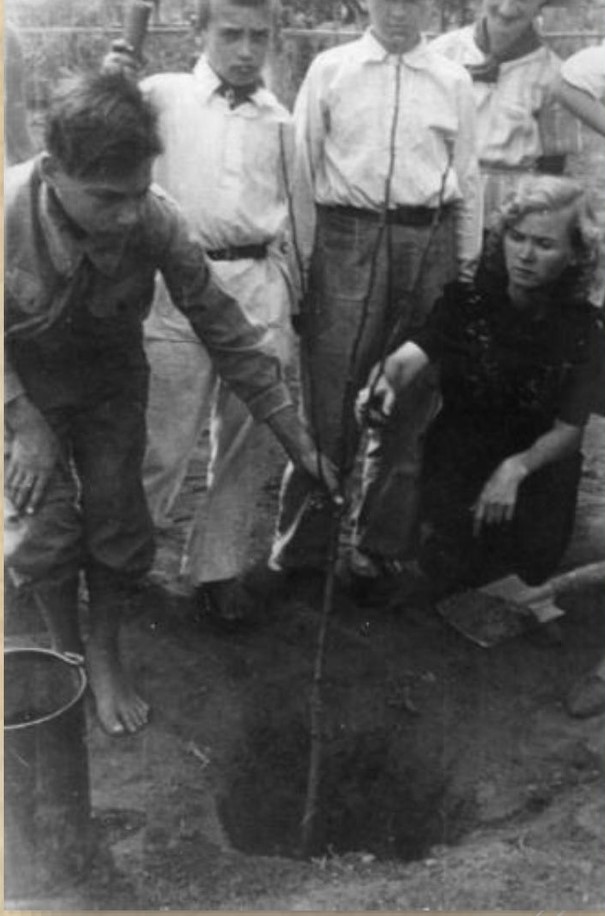 Юннаты_2.jpg Юннаты_2.jpg