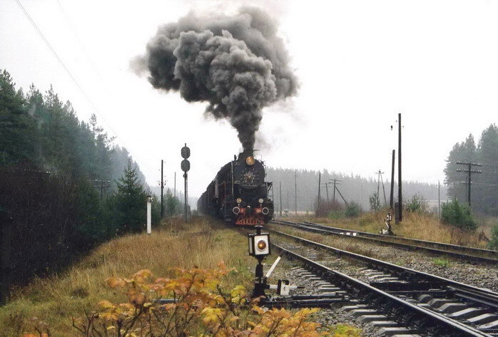 Медведь.jpeg Медведь.jpeg