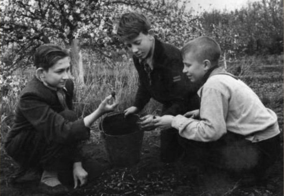 Юннаты_1.jpg Юннаты_1.jpg