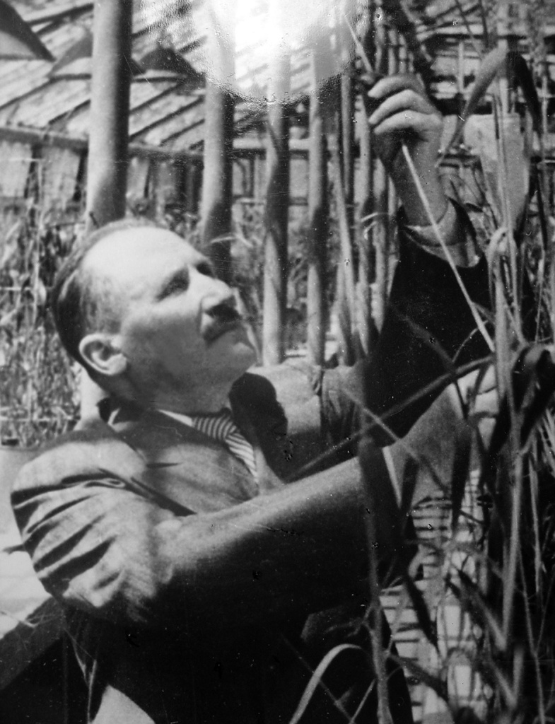 А. П. Шехурдин.jpg А. П. Шехурдин.jpg